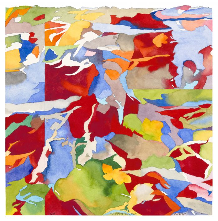 galerie guillaume - Paris - France - Artists