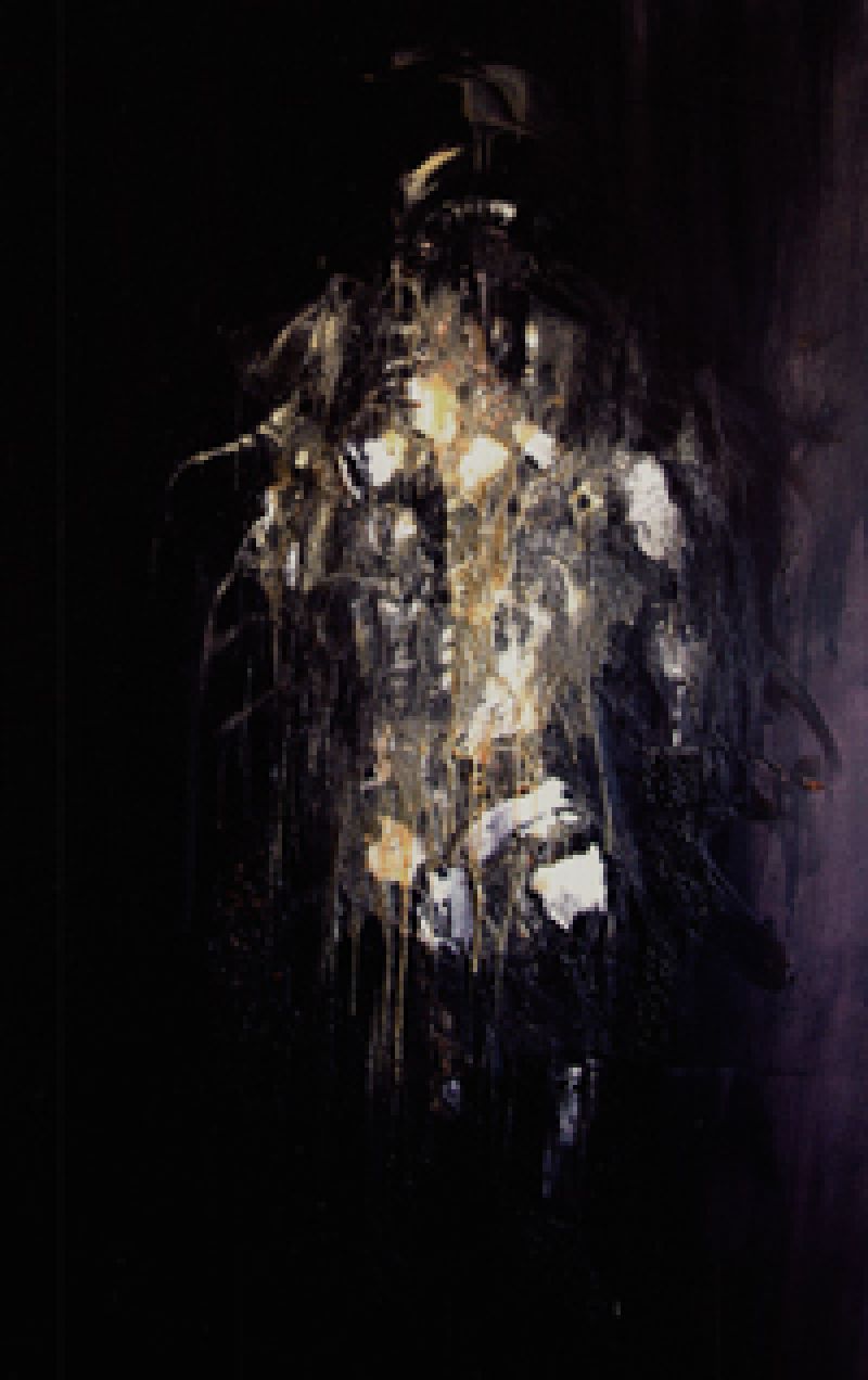 galerie guillaume Paris France Artistes